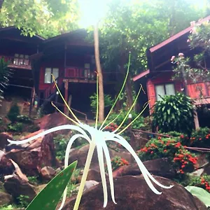 Semesteranläggning (resort) Hill, Phi Phi-öarna